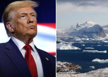 Wild military conquest or something else? Why Donald Trump wants to acquire Greenland