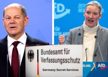 Planning Ban on AfD shows fear among German Liberal parties