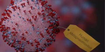 China battles surge in respiratory infections as Human Metapneumovirus (HMPV) cases spike among children