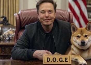 Federal Agencies Defy Order of Elon Musk to Justify Work