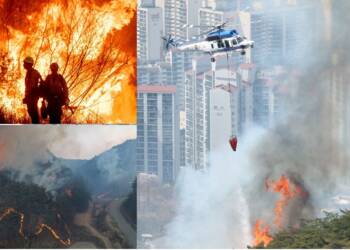 South Korea declares the 'State of Emergency' amid heavy wildfires