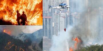 South Korea declares the 'State of Emergency' amid heavy wildfires