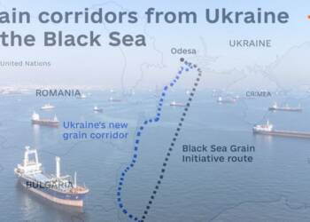 Why Black Sea Deal is Important? Will it Work?