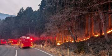 Massive wildfire spreads in Japan, threatening more homes