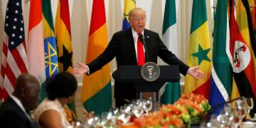 Now US looking for Rare Earths deal with African nation