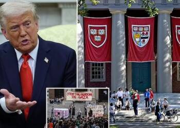 Trump vs Harvard: University sues US President for cutting 2 billion dollar funds