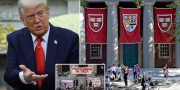 Trump vs Harvard: University sues US President for cutting 2 billion dollar funds