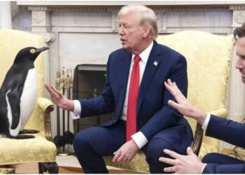 Social Media explodes with memes after Trump slaps tariffs on Penguins