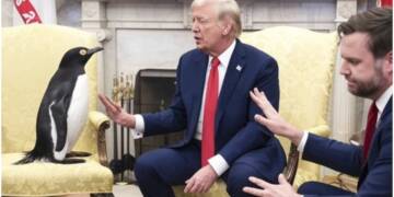 Social Media explodes with memes after Trump slaps tariffs on Penguins