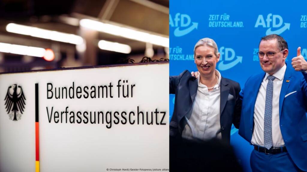 Germany Spy Agency BfV Labels AfD as 'Right-Wing Extremist'