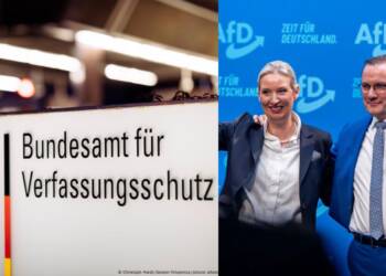 Germany Spy Agency BfV Labels AfD as 'Right-Wing Extremist'