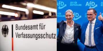 Germany Spy Agency BfV Labels AfD as 'Right-Wing Extremist'