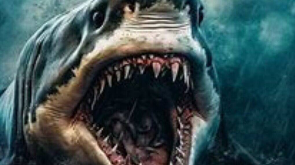 Shocking Discovery: Megalodon Shared the Ocean Throne with Other Superpredators