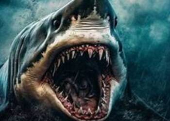 Shocking Discovery: Megalodon Shared the Ocean Throne with Other Superpredators