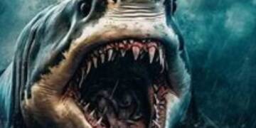 Shocking Discovery: Megalodon Shared the Ocean Throne with Other Superpredators