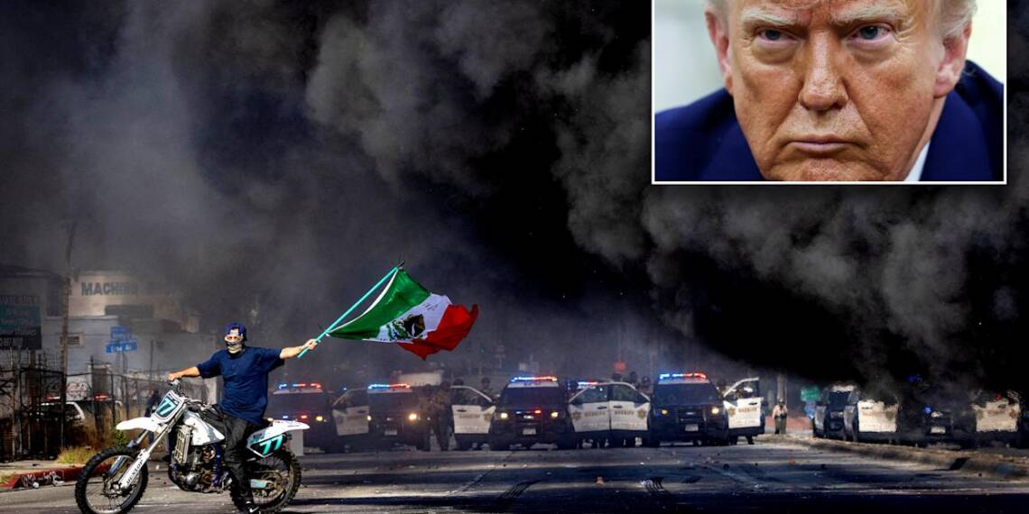 Los Angeles erupts as protesters clash with authorities, why are parts of the US burning?