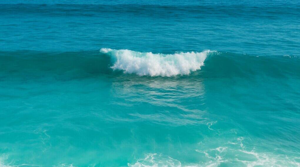 Satellite data shows oceans are changing color due to shifting phytoplankton, signaling climate-driven changes that may impact fisheries and global food security