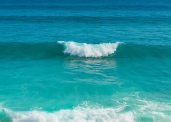 Satellite data shows oceans are changing color due to shifting phytoplankton, signaling climate-driven changes that may impact fisheries and global food security