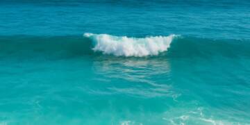 Satellite data shows oceans are changing color due to shifting phytoplankton, signaling climate-driven changes that may impact fisheries and global food security