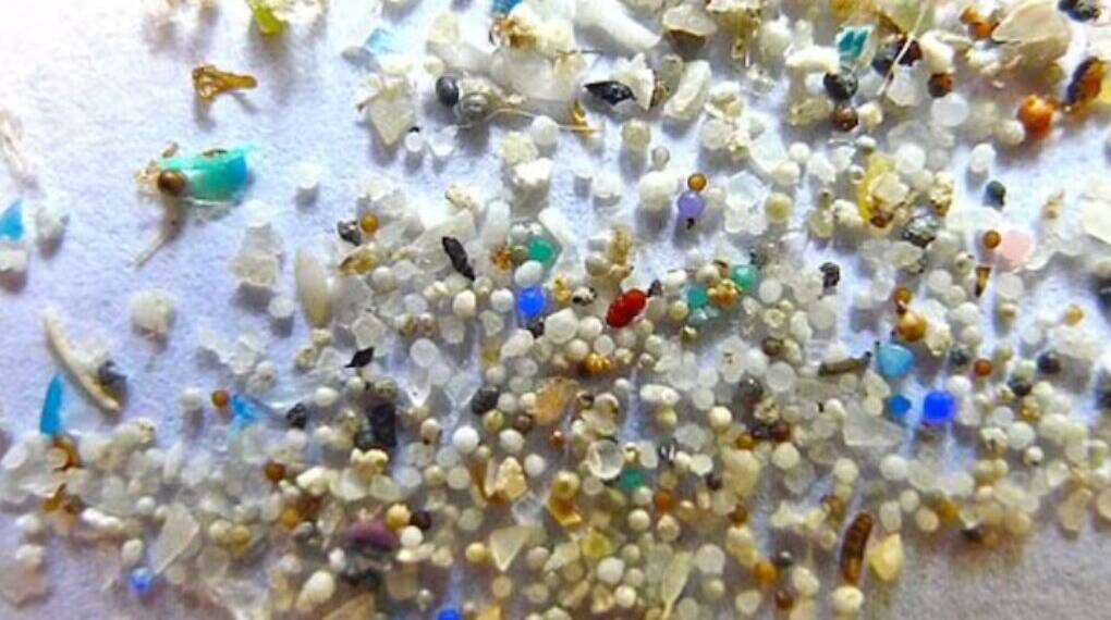 New Research Finds Microplastics in Human Brains, Raising Stroke and Heart Attack Fears