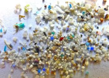 New Research Finds Microplastics in Human Brains, Raising Stroke and Heart Attack Fears