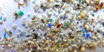 New Research Finds Microplastics in Human Brains, Raising Stroke and Heart Attack Fears