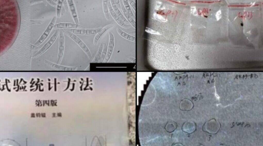 Chinese Nationals Charged with Smuggling Dangerous Fungus into U.S., Sparking National Security Alarms
