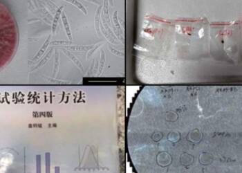 Chinese Nationals Charged with Smuggling Dangerous Fungus into U.S., Sparking National Security Alarms