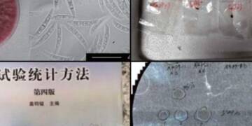 Chinese Nationals Charged with Smuggling Dangerous Fungus into U.S., Sparking National Security Alarms