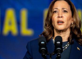 Kamala Harris Slammed for 'Fueling Unrest' Amid Los Angeles Anti-ICE Demonstrations