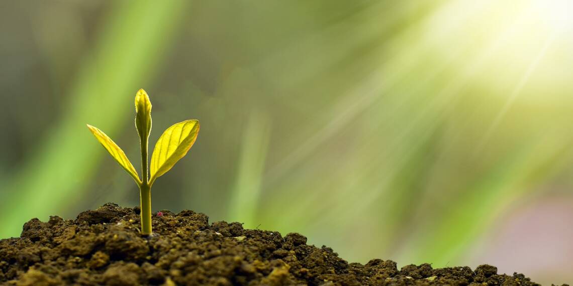 Things You Can Learn From High-Net-Worth People