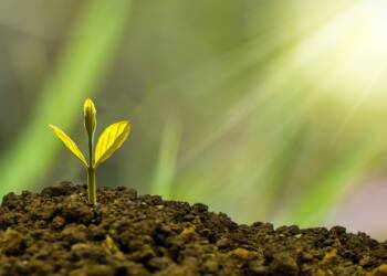 Things You Can Learn From High-Net-Worth People