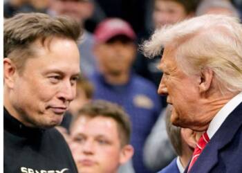"Go back to South Africa," Trump in response to Musk's New America Party!
