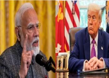 Insect food, GMO seeds, lab grown meat, artificial food, cows being fed meat products why Modi is “prepared to pay any price to stop the US” from getting into India’s food and agriculture