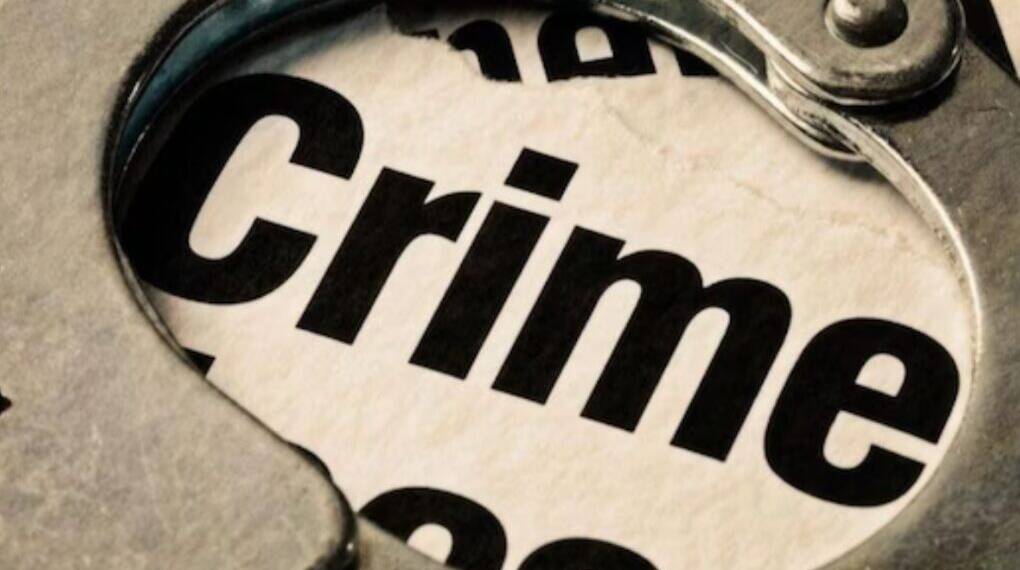 "Punched, Hair Pulled": Six-Year-Old Indian Origin Girl Faces Racial Attack in Ireland