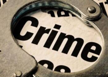 "Punched, Hair Pulled": Six-Year-Old Indian Origin Girl Faces Racial Attack in Ireland