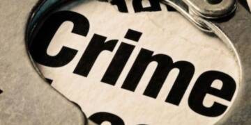 "Punched, Hair Pulled": Six-Year-Old Indian Origin Girl Faces Racial Attack in Ireland