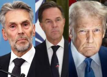 Netherlands Becomes First NATO country to Purchase US Weapons for Ukraine Under New Alliance Mechanism. How Long Can European Countries Sustain this Military Aid? 