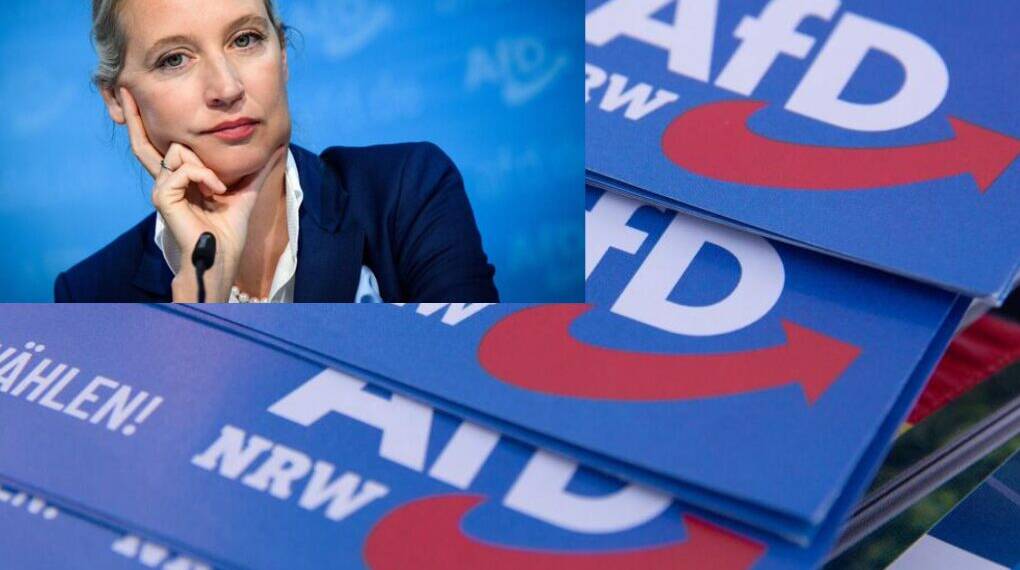 AfD Member Death Toll Rises: 7 members have died within just 13 days, while the election is nearing. Coincidence? Or something darker?