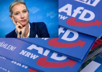 AfD Member Death Toll Rises: 7 members have died within just 13 days, while the election is nearing. Coincidence? Or something darker?