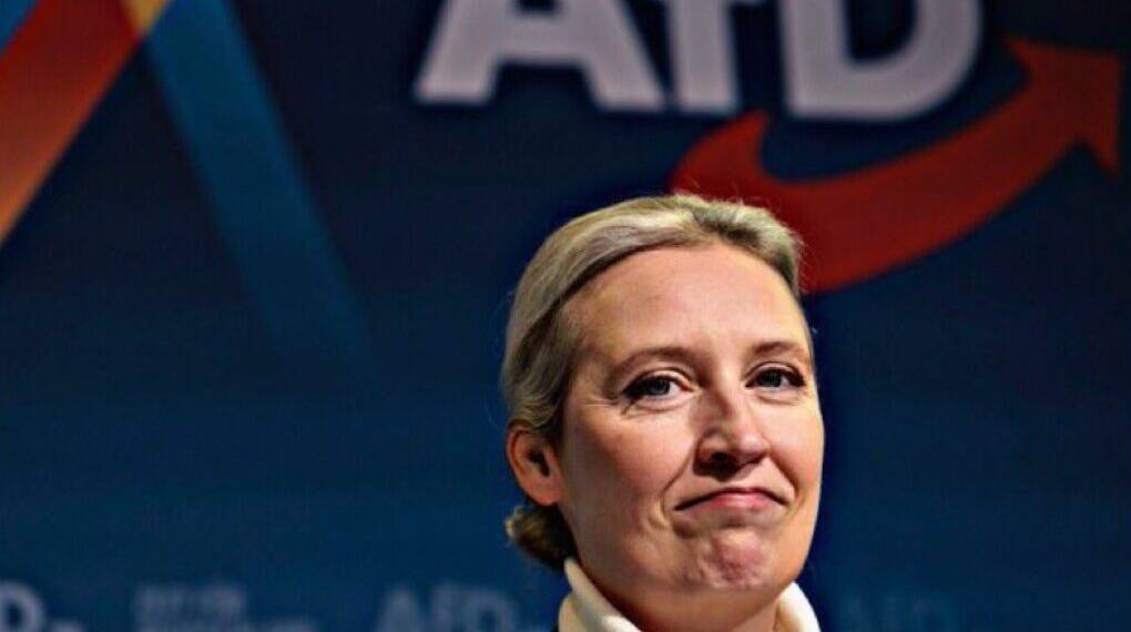 AfD Tops every major German poll for the First Time