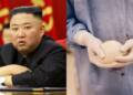 NO MORE BREAST IMPLATS: Why North Korea is Cracking Down on Cosmetic Surgeries?