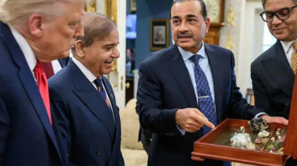 Pakistan’s New Scam: Using China’s Tech to Feed USA and Please Trump?