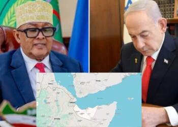 PM Netanyahu and Somalilandian President Abdirahman Mohamed Abdullahi