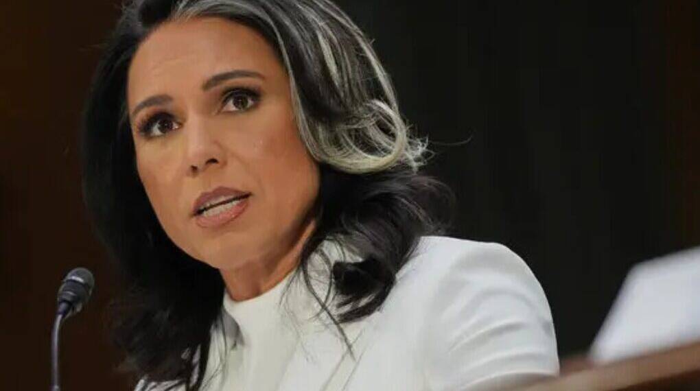 ‘Dragging America Into War’: Gabbard Accuses EU, NATO, Deep State of Sabotaging Ukraine Peace