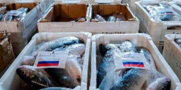 Brussels Talks Sanctions, Eats Russian Fish: EU’s Ukraine Hypocrisy Revealed