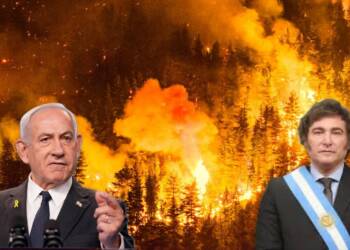 Patagonia Fires and the Allegations Around Israelis