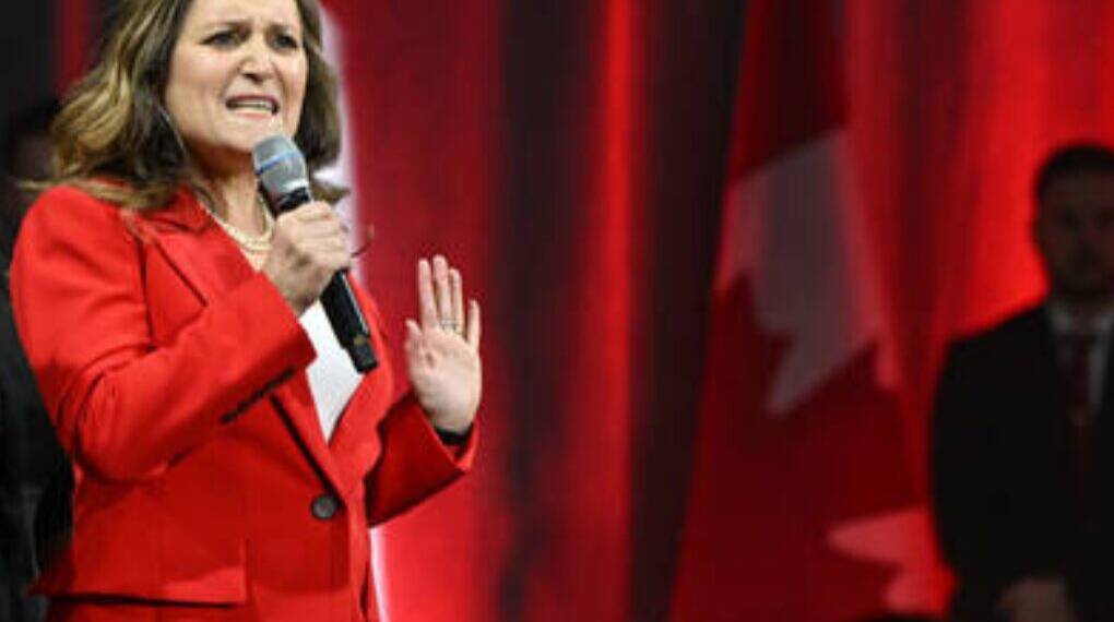 Chrystia Freeland Quits Canadian Politics to Advise Zelensky, Sparking Nazi-Era Controversy