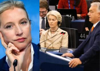 EU Plotting ‘Regime Change’ in Hungary Ahead of Orban Election, Claims German Opposition Leader Alice Weidel