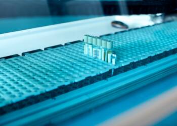 Fragment 176–191: A Lipolytic Signaling Segment Revisited Through Contemporary Research Perspectives